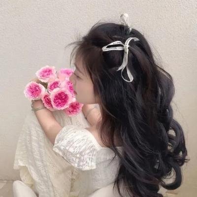 挎斗摩托车里的狗